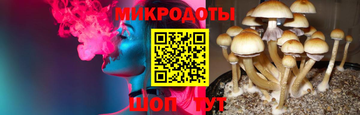 Острогожск  Псилоцибиновые грибы мицелий  Галлюциногенные грибы Cubensis  Вход с VPN 