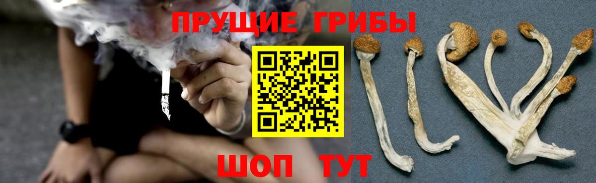 Галлюциногенные грибы MAGIC MUSHROOMS Острогожск